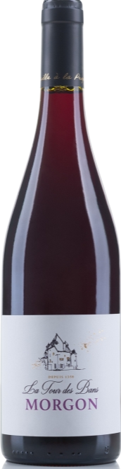 Domaine de la Tour des Bans Morgon 2022
