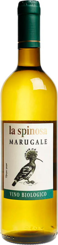 La Spinosa Marugale 2022