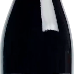 Amarone, Ilary Cordin DOCG 2008