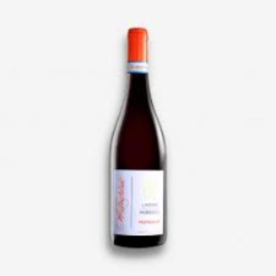 Marchisio Langhe Nebbiolo “Mungalat” 2023