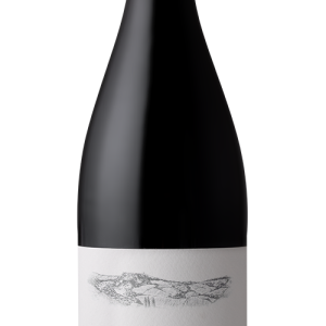 Buisson – Beaune 2021