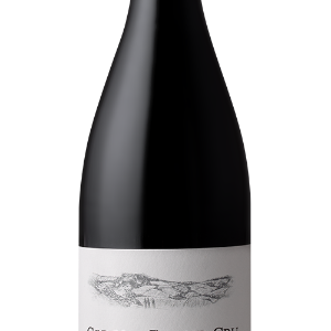 Buisson – Corton Grand Cru Les Renardes 2020
