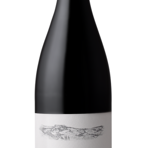 Buisson – Corton Grand Cru Le Rognet 2019