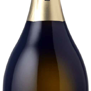 Divigna Prosecco Docg ekstra brut 2023