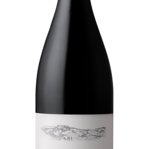 Buisson – Volnay 1er Cru Chanlin 2022